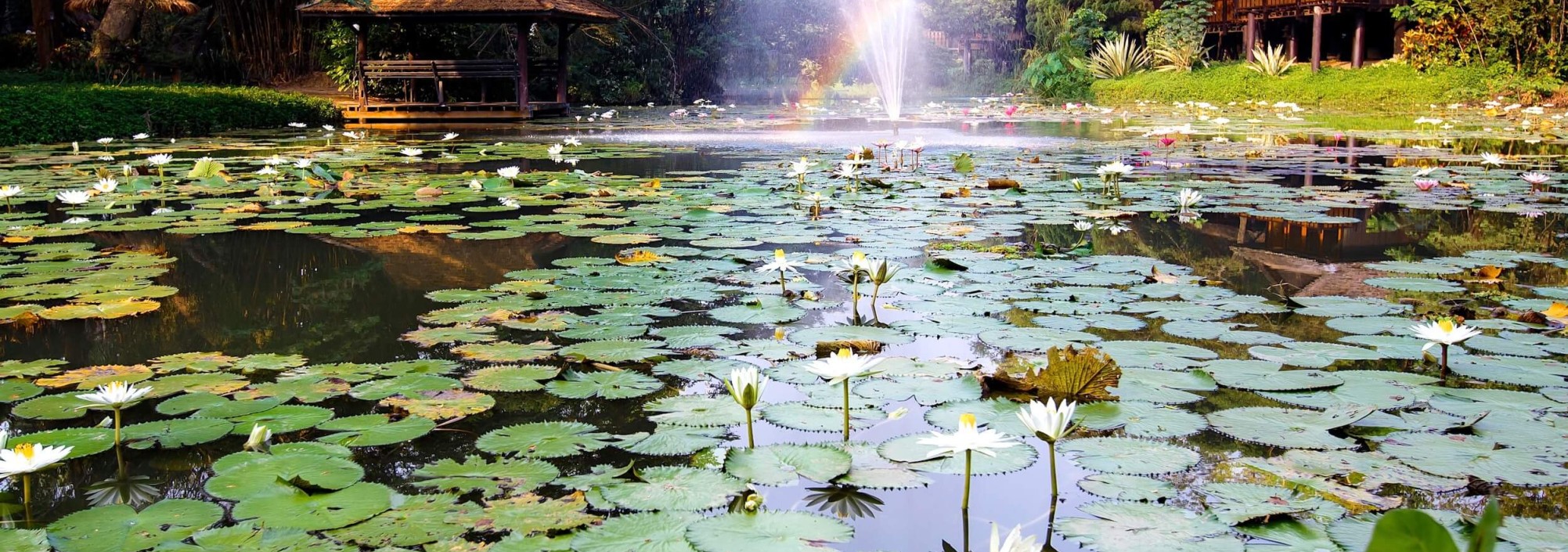 2-lampang-river-lodge-hotel-thailand-travel