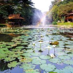 2-lampang-river-lodge-hotel-thailand-travel