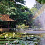 4-lampang-river-lodge-hotel-thailand-travel
