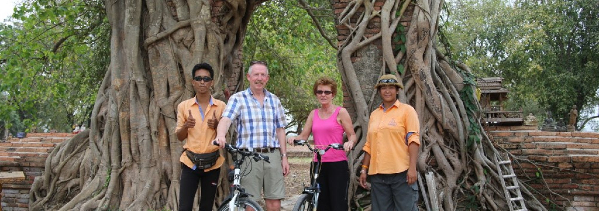ayutthaya-fietsen-boom-tempel-thailandtravel