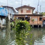 bangkok-thonburi-klong-planten-thailandtravel