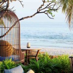 beach-club-and-bistro-centara-grand-beach