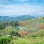 bergen-mae-rim-natuur-thailandtravel-1