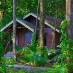 Buitenkant Double Forest Room Khao Sok Riverside Cottages