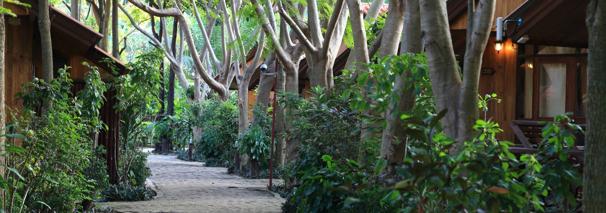 bundhaya-resort-koh-lipe-garden-deluxe-bungalow-tuin-thailandtravel