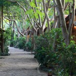 bundhaya-resort-koh-lipe-garden-deluxe-bungalow-tuin-thailandtravel
