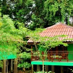 bungalow-khao-sok-riverlodge-thailand-travel