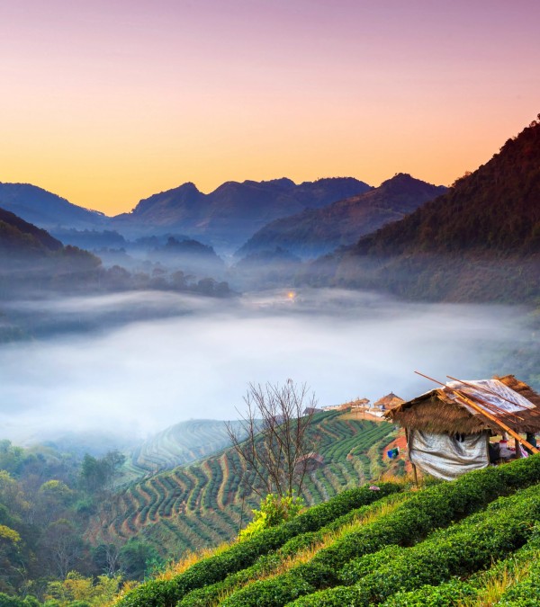 chiang-mai-doi-angkhang-thailand-thailandtravel