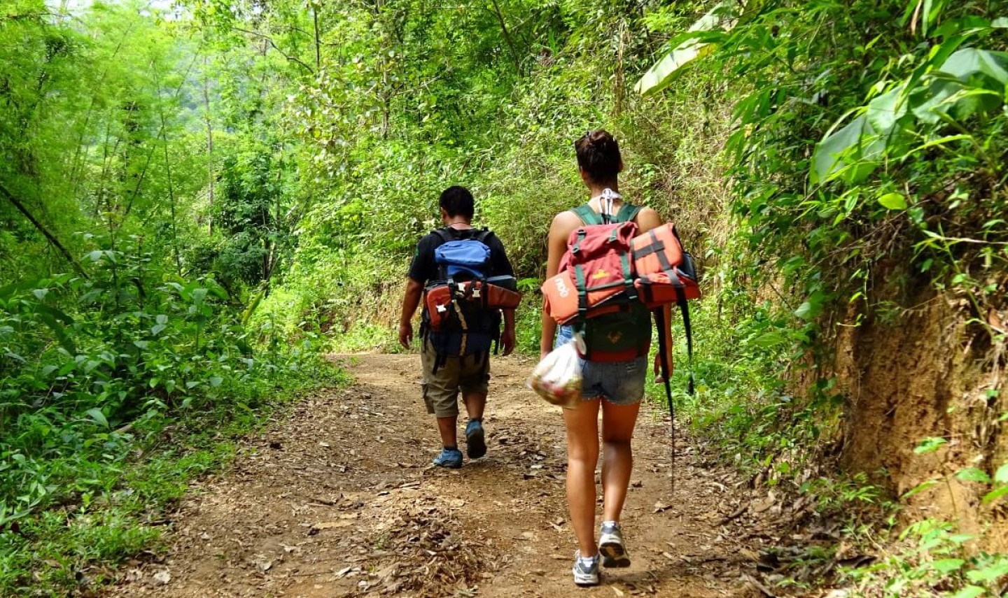 chiang-mai-trekking-jungle-thailandtravel-3