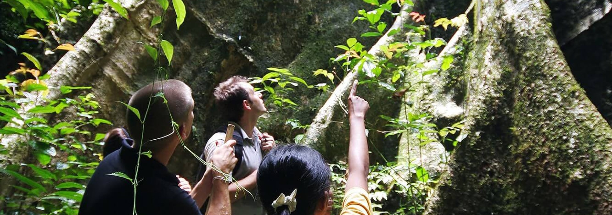 dieren-spotten-khao-sok-national-park-elephant-hills-camp