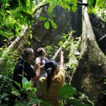 dieren-spotten-khao-sok-national-park-elephant-hills-camp