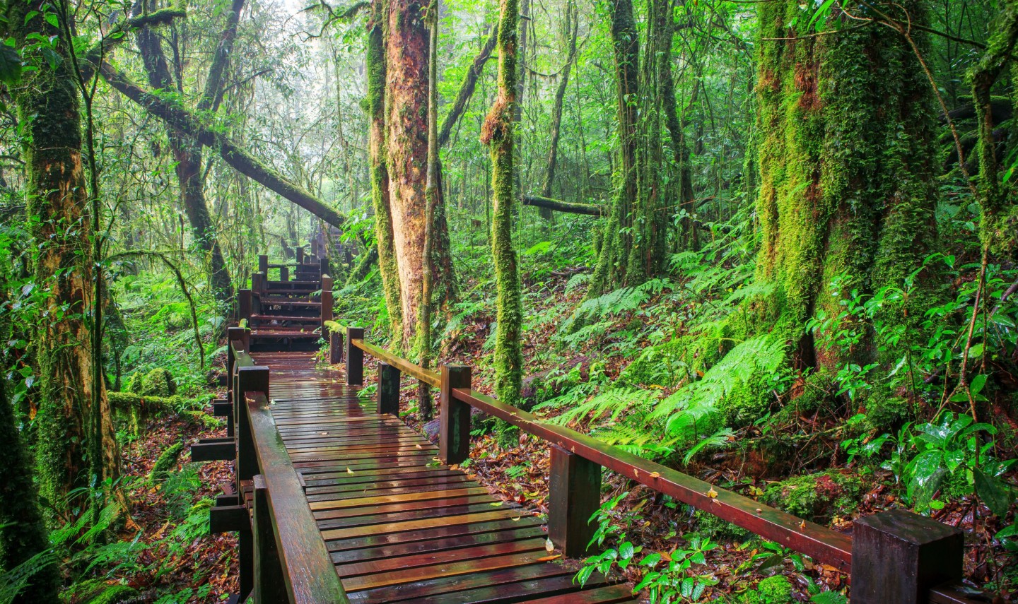 doi-inthanont-national-park-chiangmai-thailandtravel