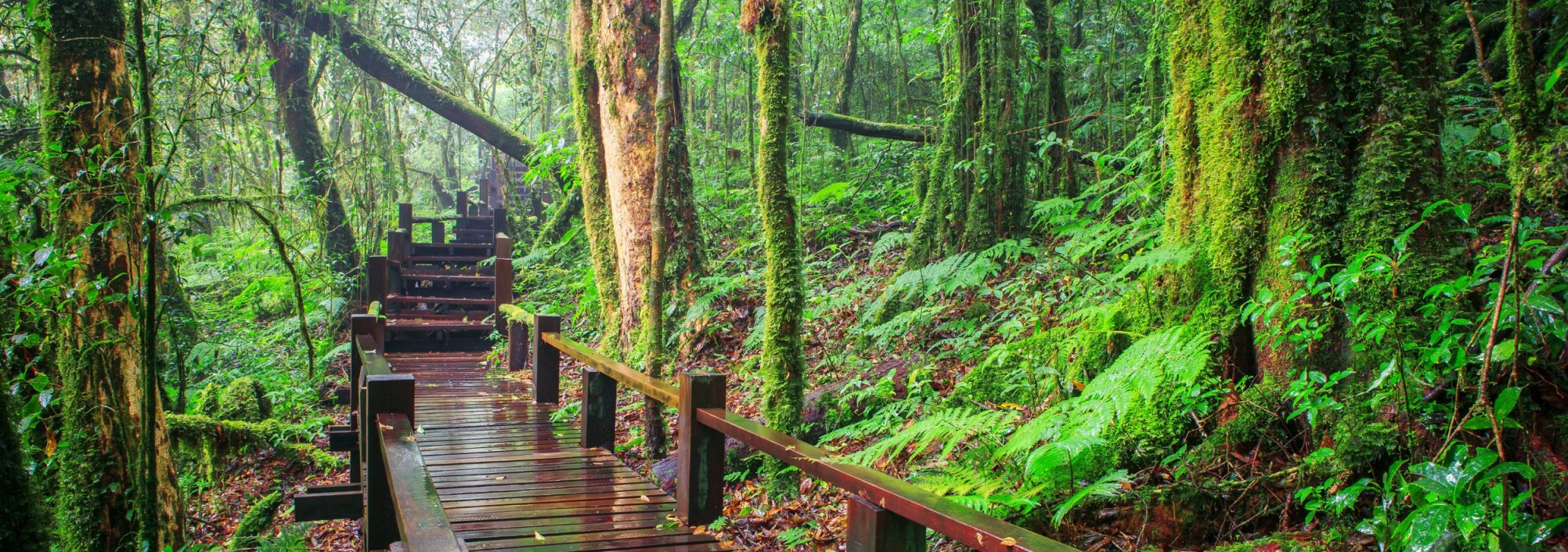doi-inthanont-national-park-chiangmai-thailandtravel