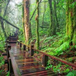 doi-inthanont-national-park-chiangmai-thailandtravel