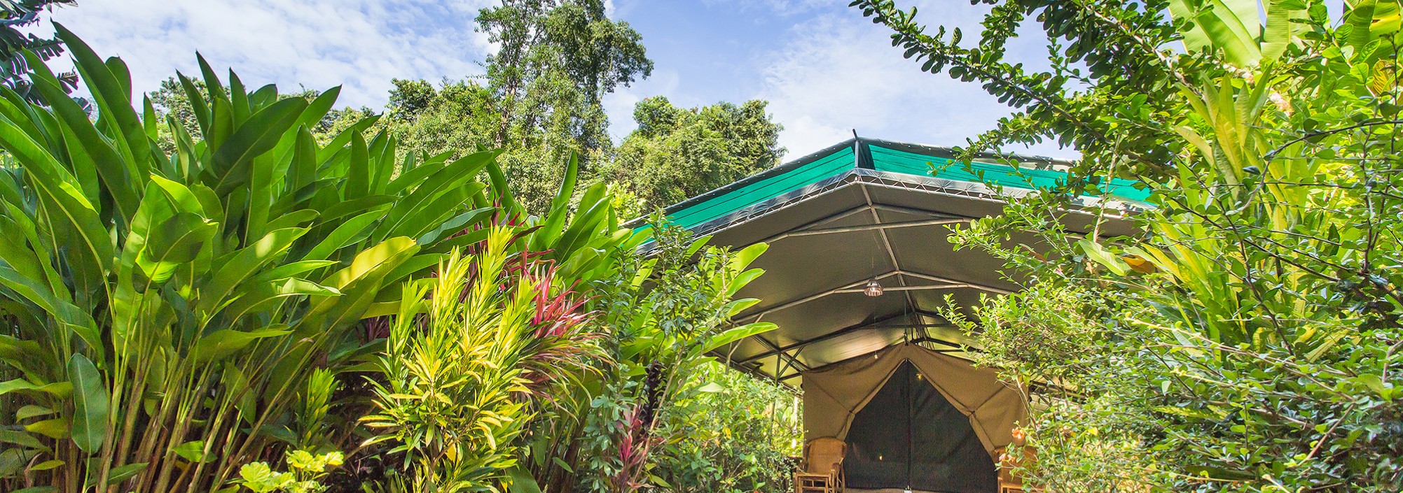 f0-elephant-hills-khao-sok-national-park-thailand-the-elephant-camp-luxury-tent-outside
