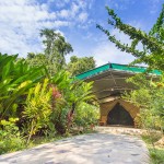 f0-elephant-hills-khao-sok-national-park-thailand-the-elephant-camp-luxury-tent-outside