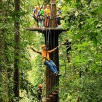 flight-of-the-gibbon-zipline-chiang-mai-thailandtravel
