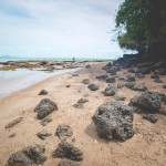 fossil-beach-krabi-thailandtravel