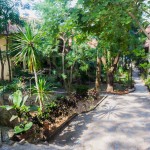 garden-entrance-havana-beach-resort-koh-phangan-2022
