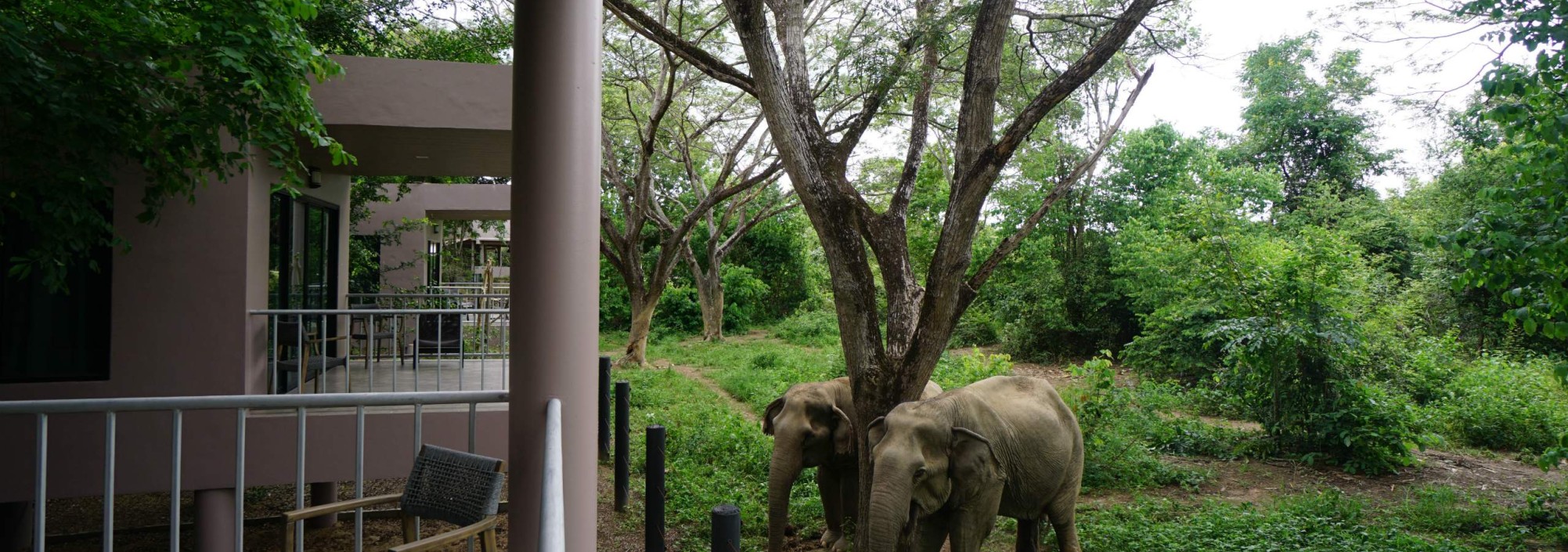 i-love-phants-forest-view-room-balkon-tuin-olifant-uitzicht-thailandtravel