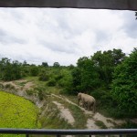 i-love-phants-forest-view-room-balkon-uitzicht-olifanten-thailandtravel