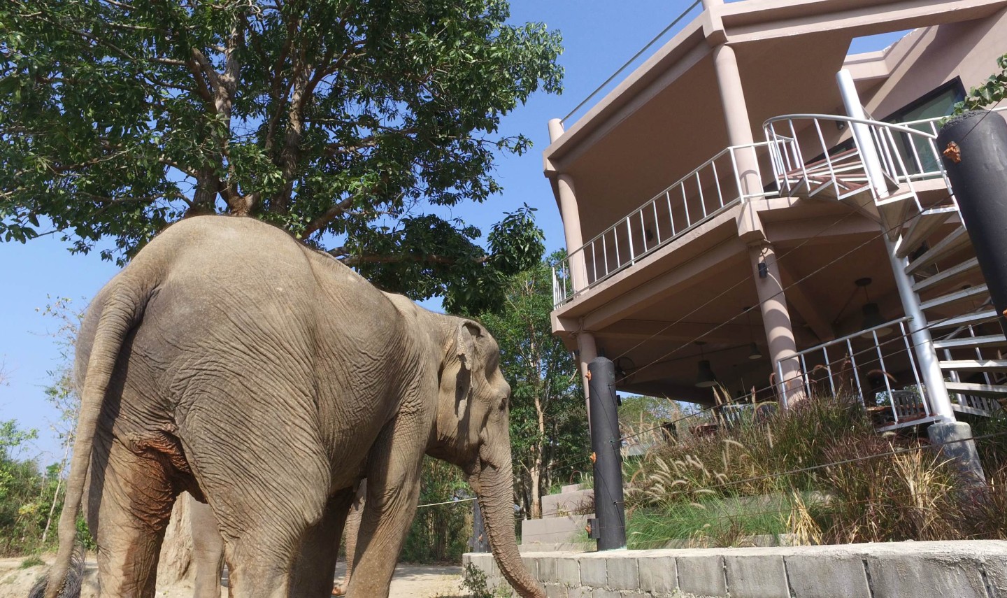 i-love-phants-lodge-olifanten-gebouw-thailandtravel