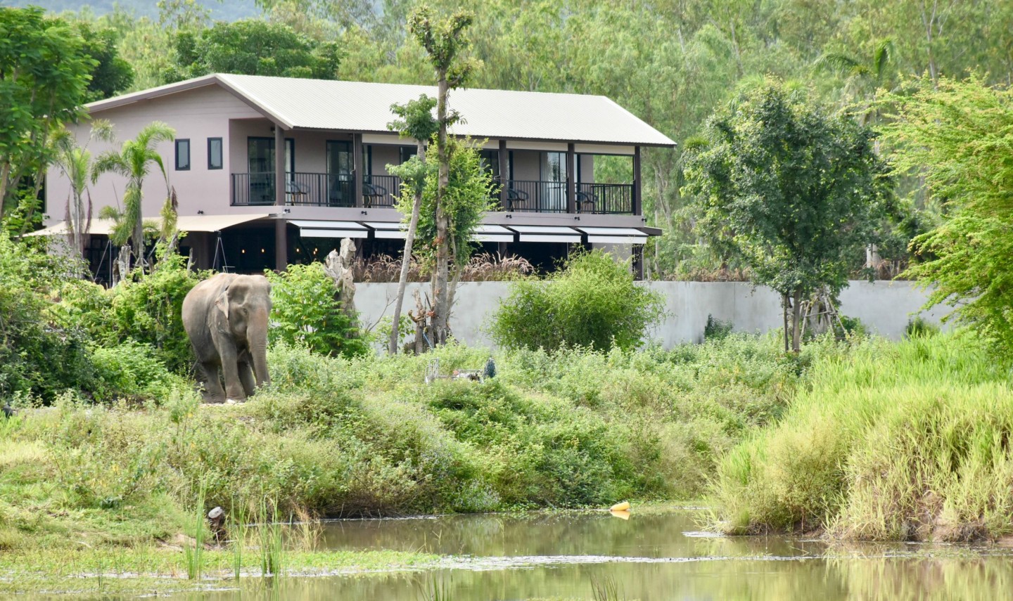 i-love-phants-lodge-viewpoint-rivier-olifant-thailandtravel