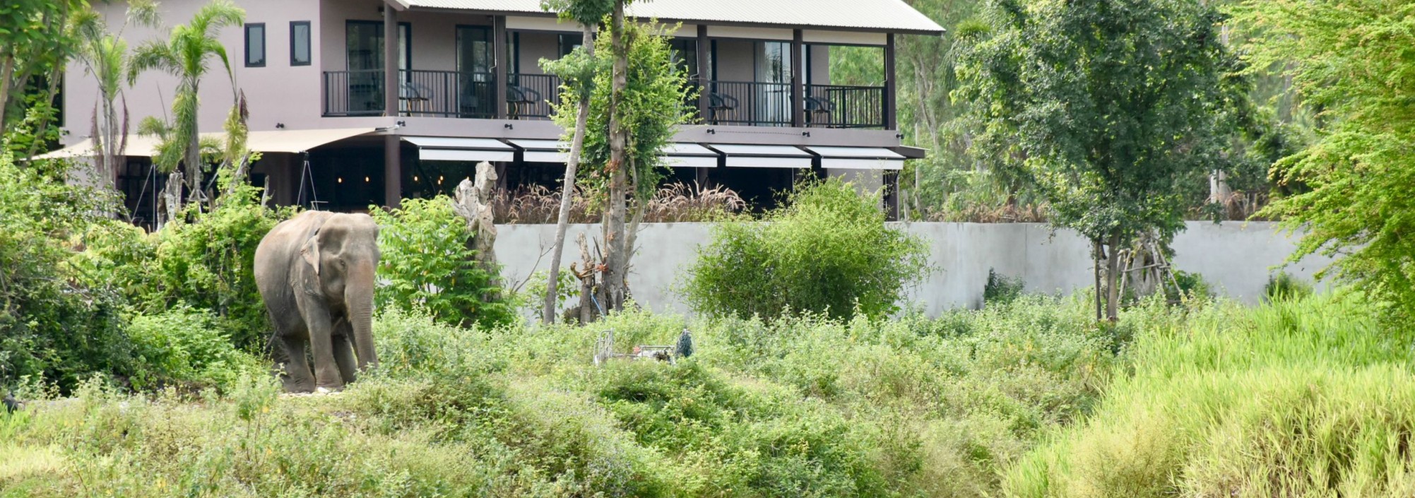 i-love-phants-lodge-viewpoint-rivier-olifant-thailandtravel