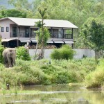 i-love-phants-lodge-viewpoint-rivier-olifant-thailandtravel