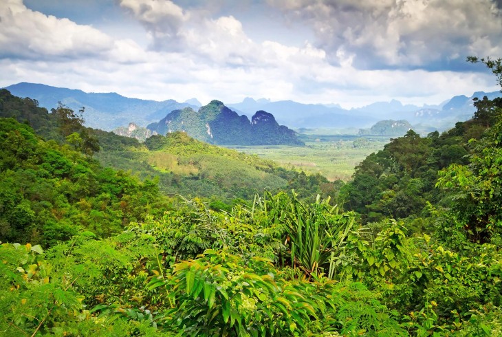 2 Daagse Khao Sok jungle tour - Meerdaagse Tours Zuid Thailand - Khao ...