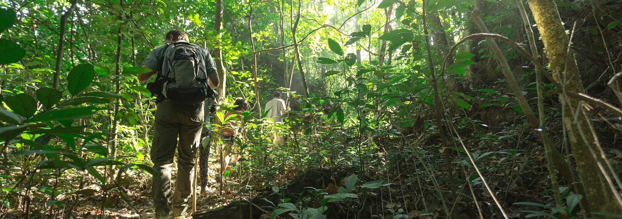 jungletrekking-khao-sok-national-park-elephant-hills-thailand-travel