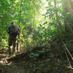 jungletrekking-khao-sok-national-park-elephant-hills-thailand-travel