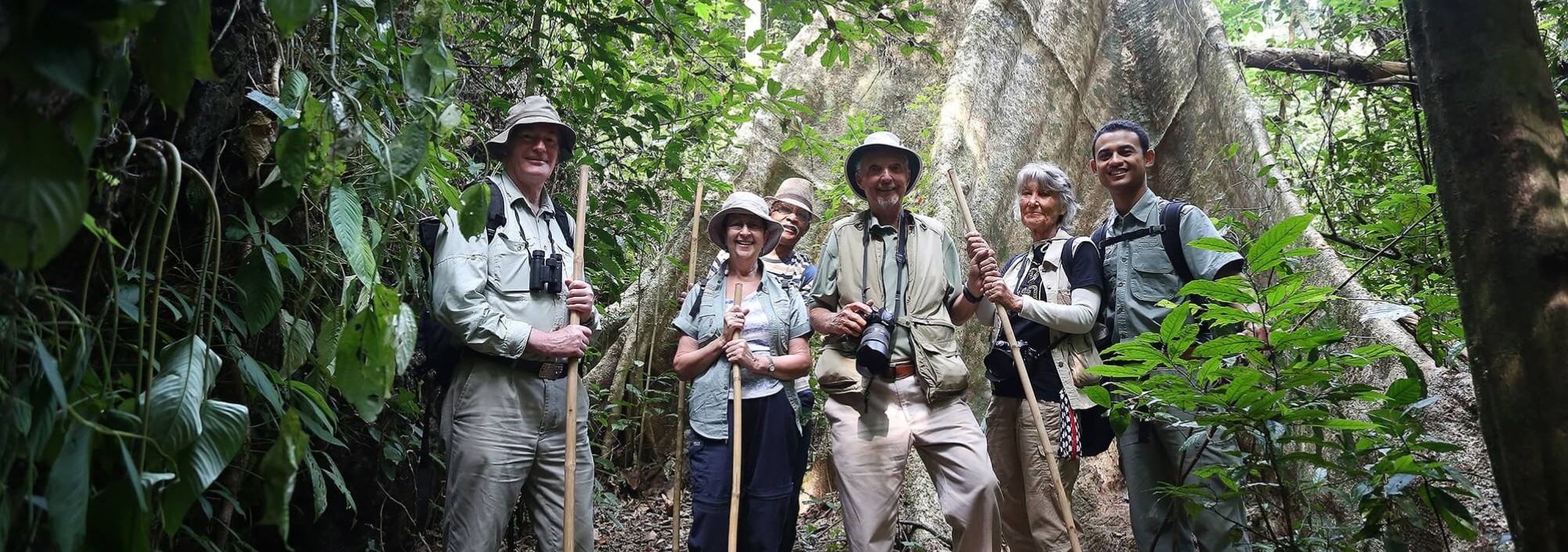 jungletrekking-khao-sok-national-park-elephant-hills-thailandtravel