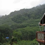 khao-sok-boutique-camp-thailand