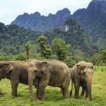khao-sok-elephanthills-olifanten-uitzicht-thailandtravel