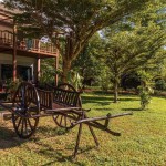 khao-sok-montania-lifestyle-hotel-tuin-thailandtravel