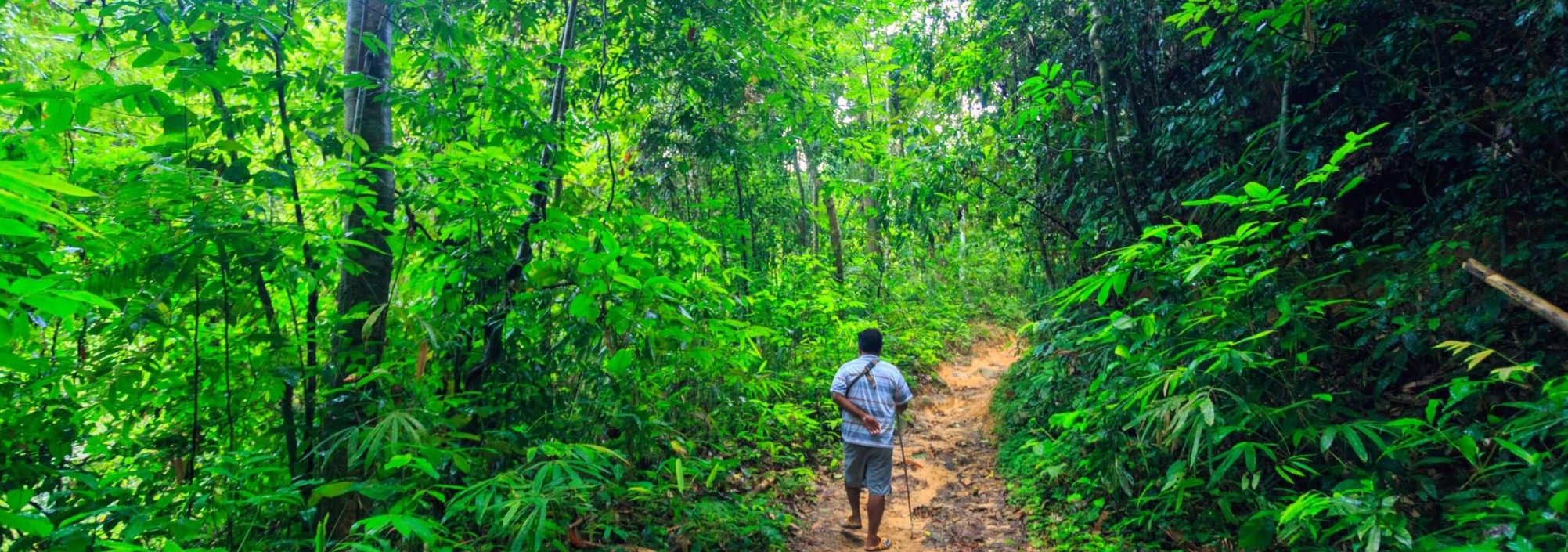 khao-sok-national-park-jungle-thailandtravel