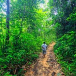 khao-sok-national-park-jungle-thailandtravel