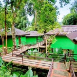 khao-sok-river-lodge-thailand-travel