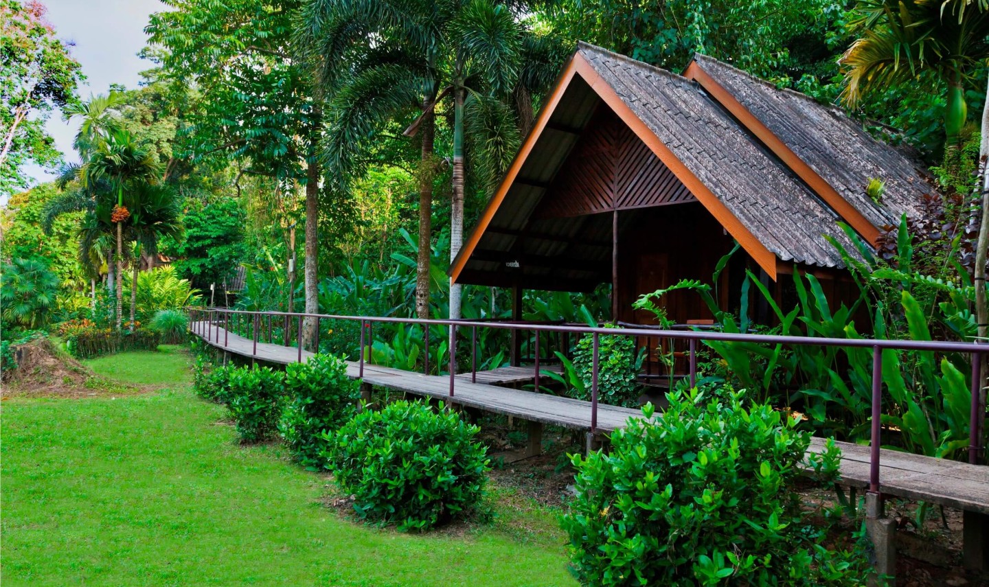 Khao Sok Riverside Bungalow in Khao Sok