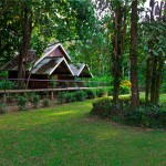 Khao Sok Riverside Cottages buitenkant
