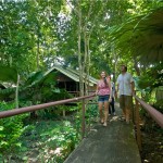 Khao Sok Riverside Cottages Walkway