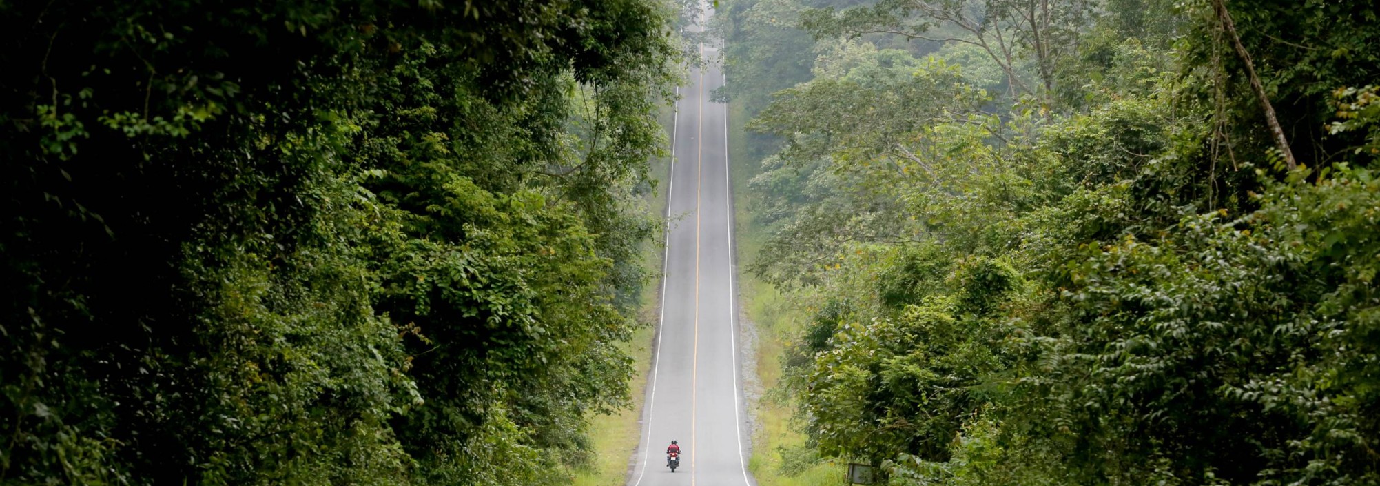 khao-yai-national-par-scenic-road-thailandtravel