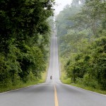 khao-yai-national-par-scenic-road-thailandtravel