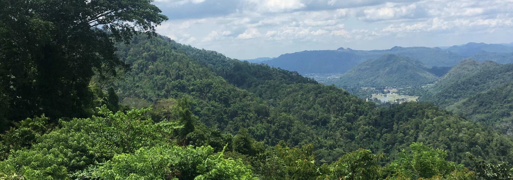 khao-yai-national-park-uitzicht-jungle-thailandtravel