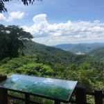 khao-yai-national-park-uitzicht-jungle-thailandtravel