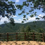 khao-yai-national-park-view-point-thailandtravel
