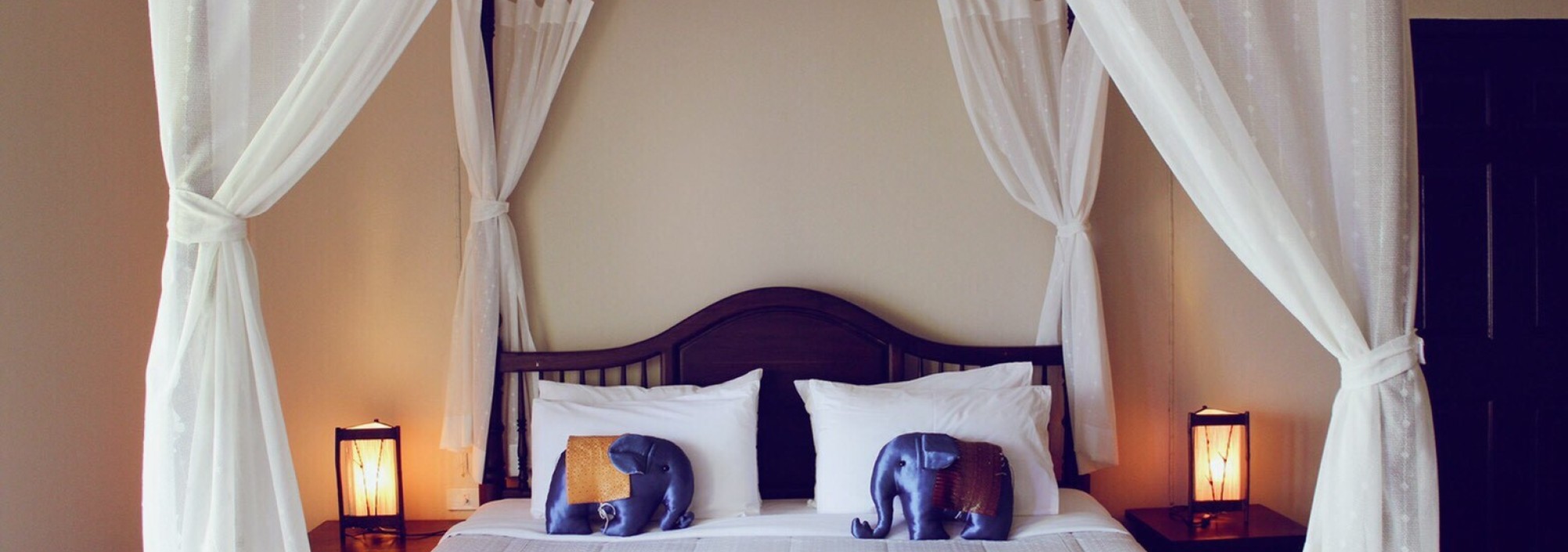 khao-yai-nature-life-1-thailandtravel