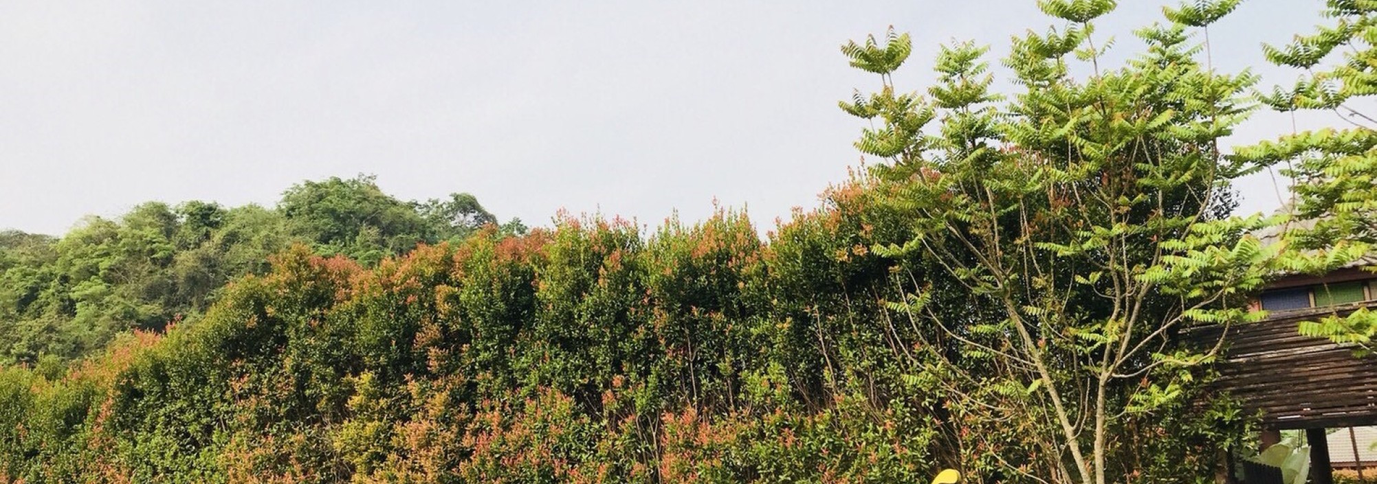 khao-yai-nature-life-3-thailandtravel