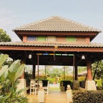 khao-yai-nature-life-4-thailandtravel